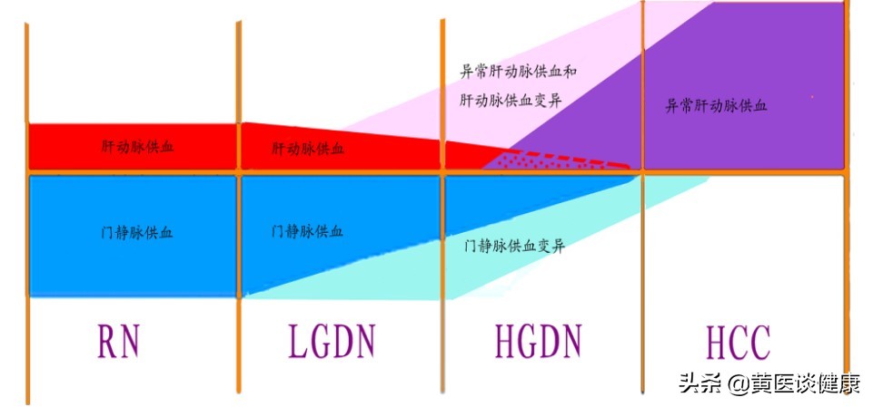 治疗乙肝7年，肝功能一直正常，但出现肝硬化结节，怎么办？