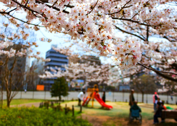 日本人口2020总人数世界排名,横滨宜居城市
