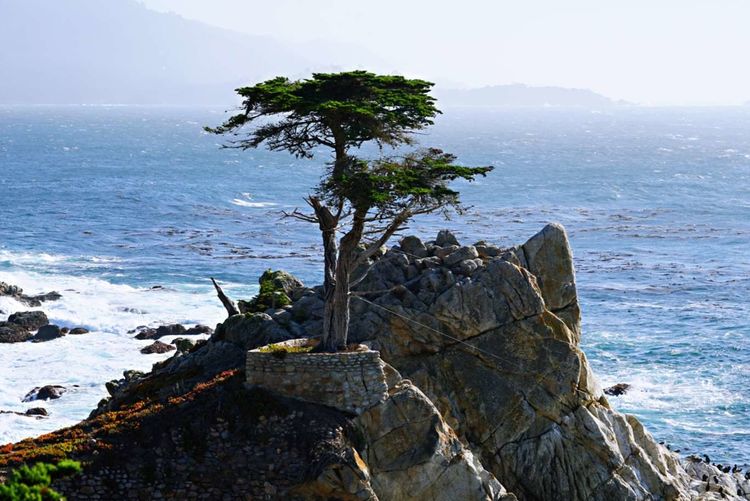 美国德州西部自由行,美国西海岸可以自由航行么