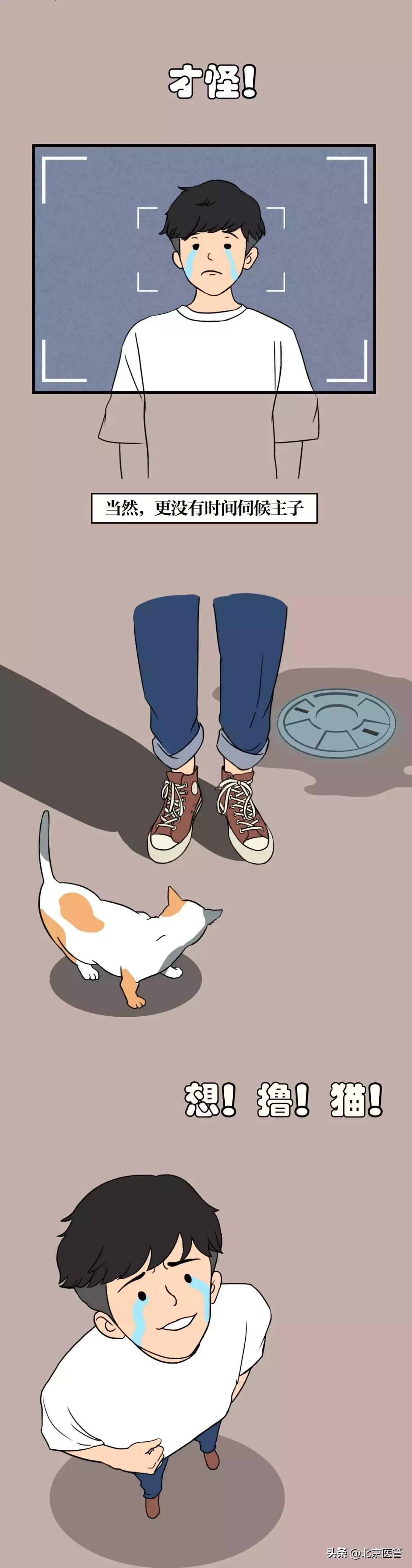 夏天蚊子太烦人教驱蚊的绝招,夏天怎么预防蚊子最有效