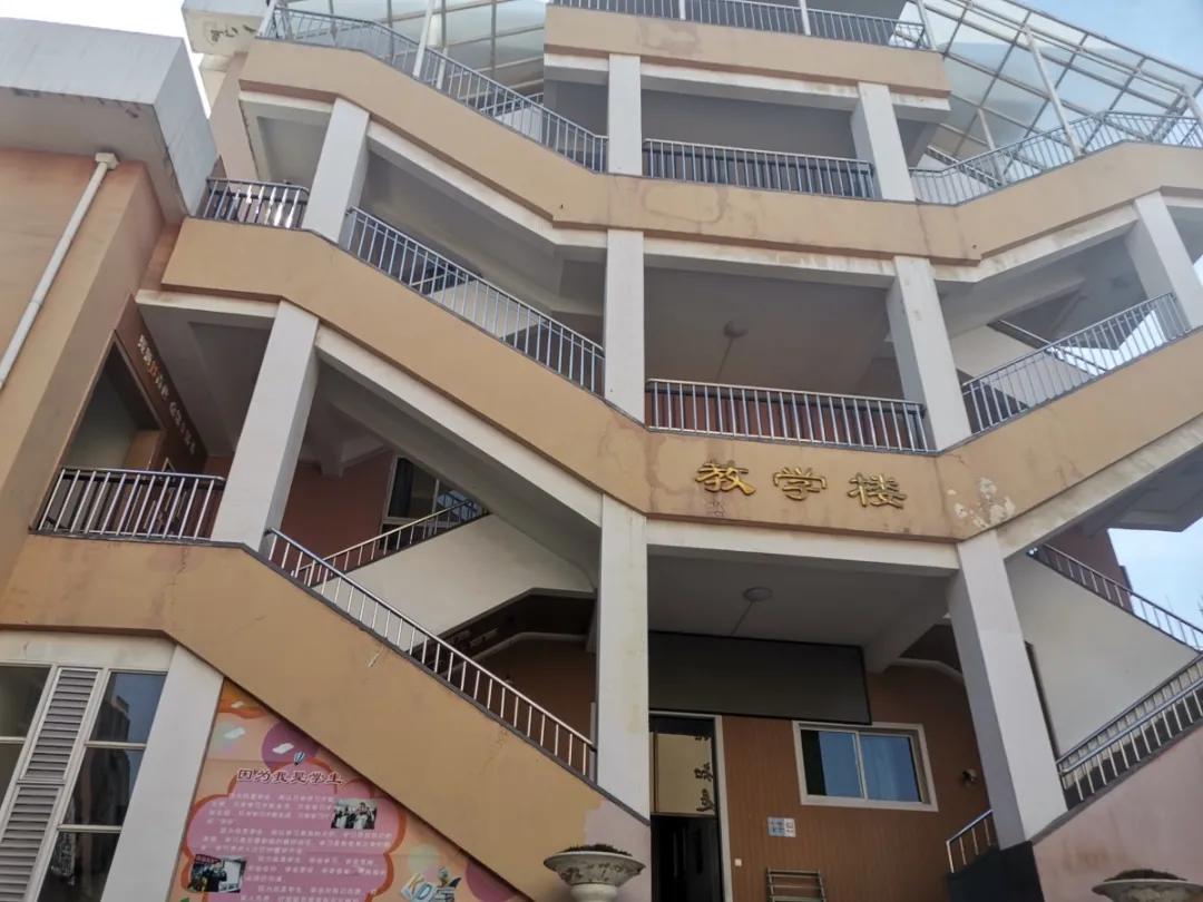 学姐校园采访,学姐探访复旦大学