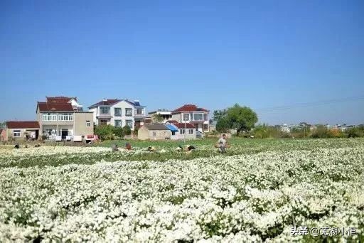 周末游玩攻略交通方式,周末游玩全攻略