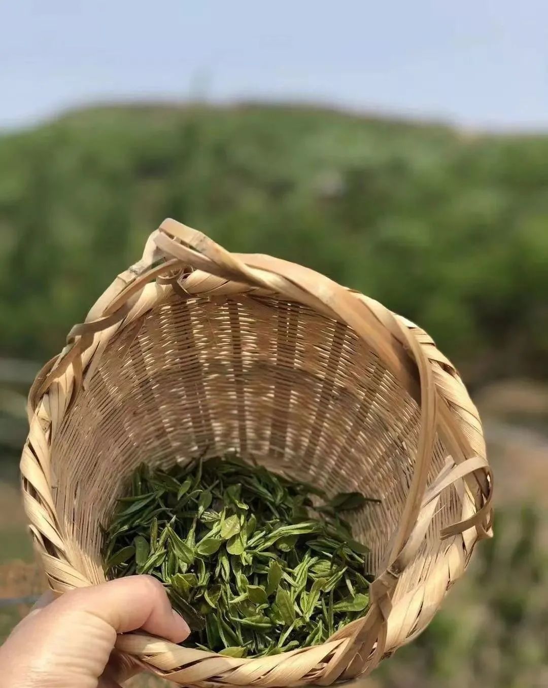 冬季山东旅行经典路线组合,秋冬山东省内旅游