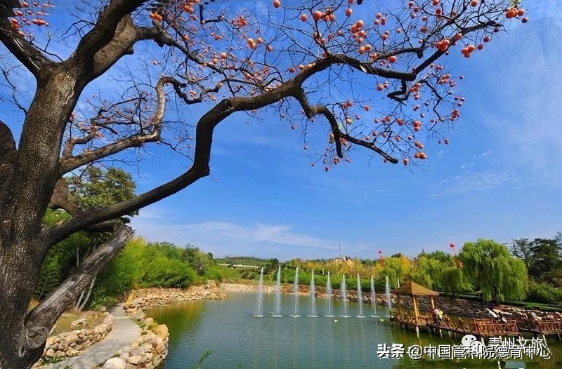 千年古城的勃勃生机,青州古城与青州古街