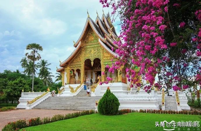 中老铁路昆明到景洪时速多少,中老铁路昆明到景洪多少钱