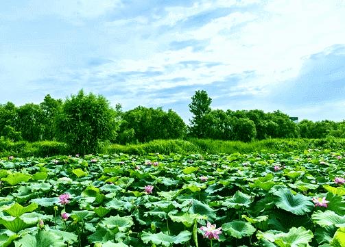 央视西安夜景浐灞,央视新闻直播西安电视台