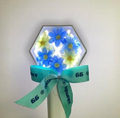 三代爱丽棒被吐槽，在爱丽的改造下成功“洗白”，EXOL真心灵手巧