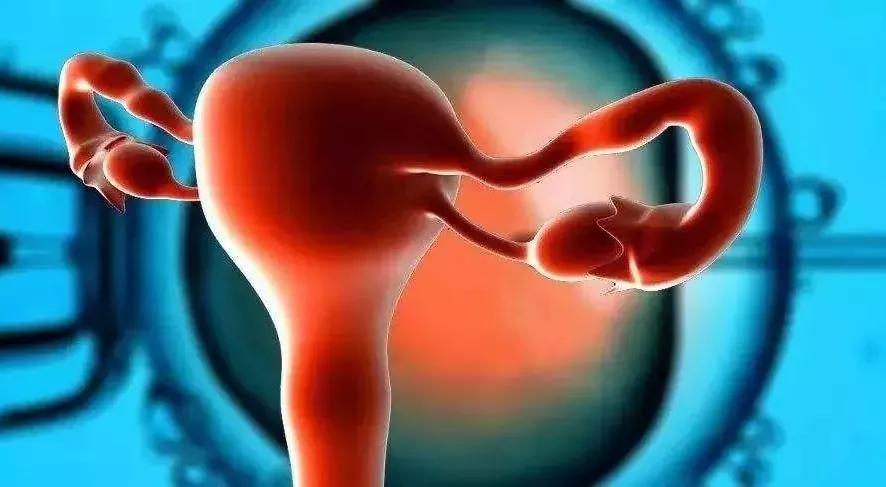 amh值多少为卵巢早衰,amh值多少是最好的卵巢功能