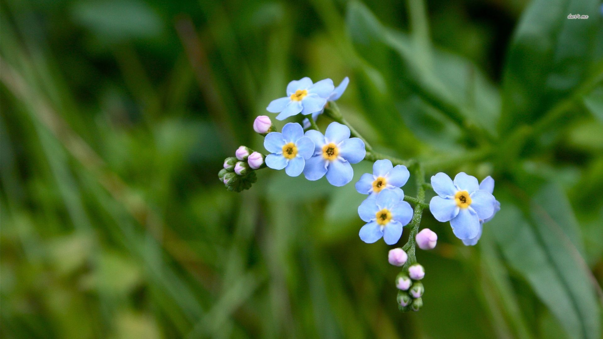 12星座的守护者是哪一个星座,12星座守护者是什么