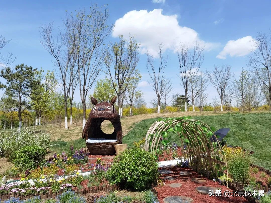 自驾游不走寻常路,不走寻常路怎么玩