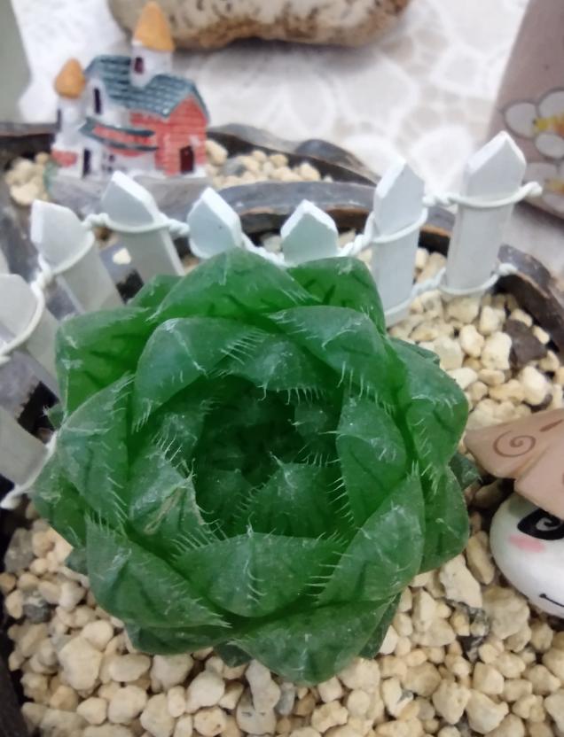 motog505g海外版评测,motog505g正式上市