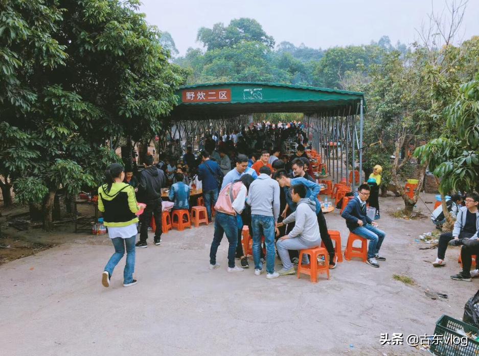 九龙生态农业园怎么样,九龙生态园