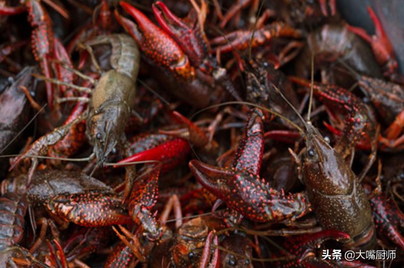 加工成品小龙虾尾价格,加工半成品小龙虾