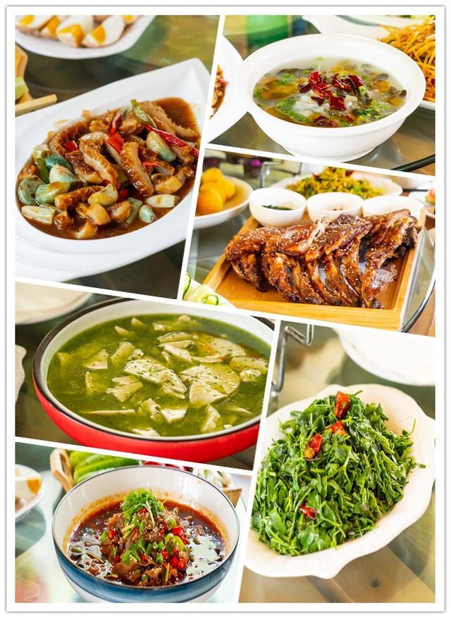 修德谷生态园,修德谷旅游基地