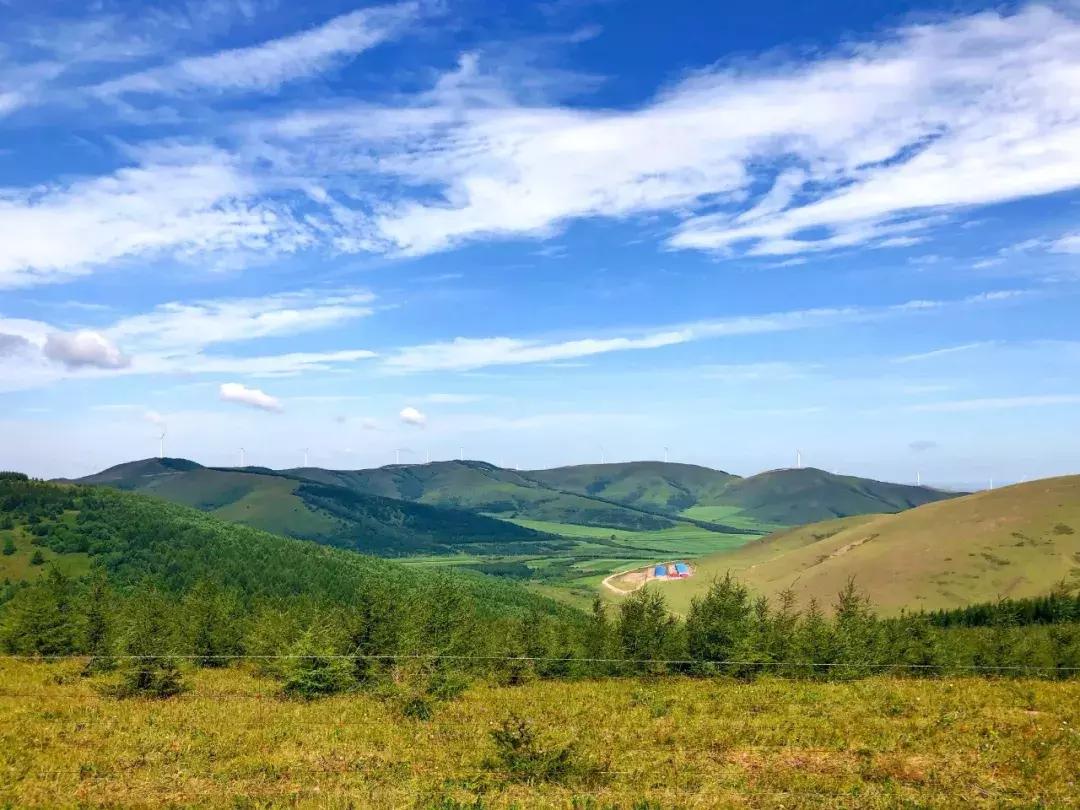 丰宁千松坝秋色,天凉好个秋拍摄
