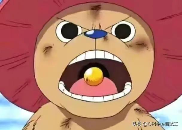 海贼王机械甲,海贼王里特殊的武器