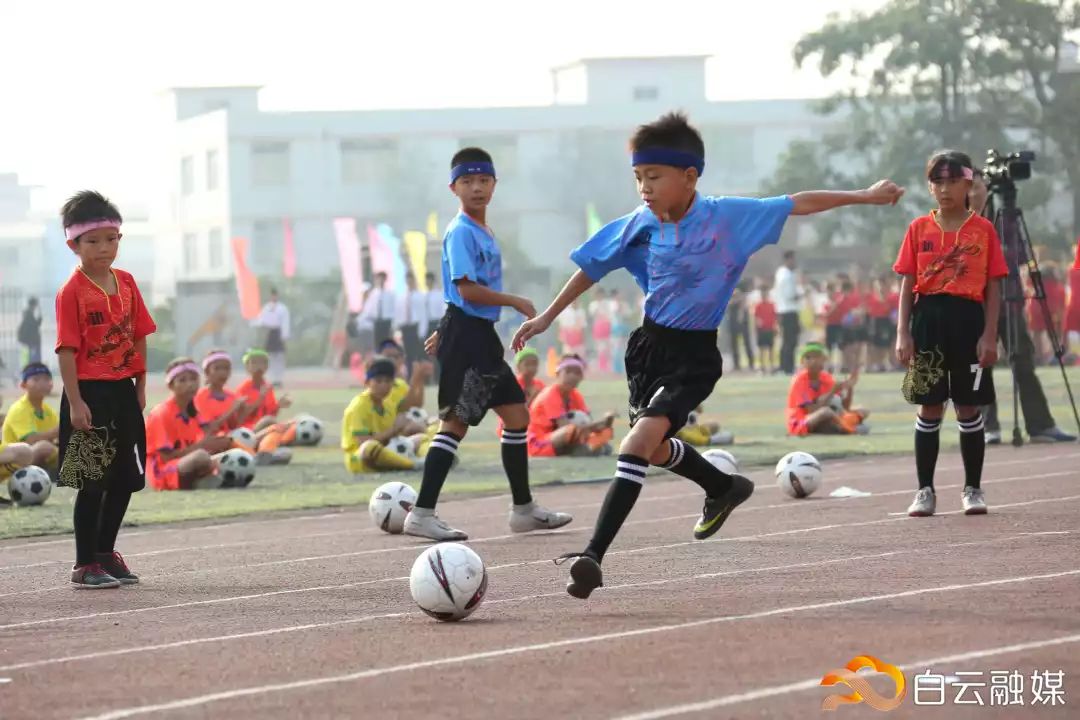 横栏小学校园田径运动会,2019白云区中小学生田径运动会