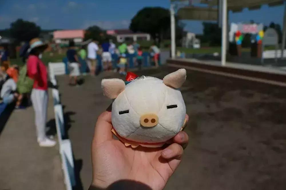 日本顶级农业农场,日本田园农场排行榜