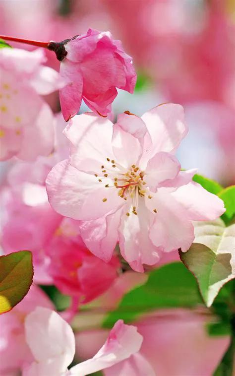 我只是不想让你哭句子,我只是不想让你看见我流泪的眼睛