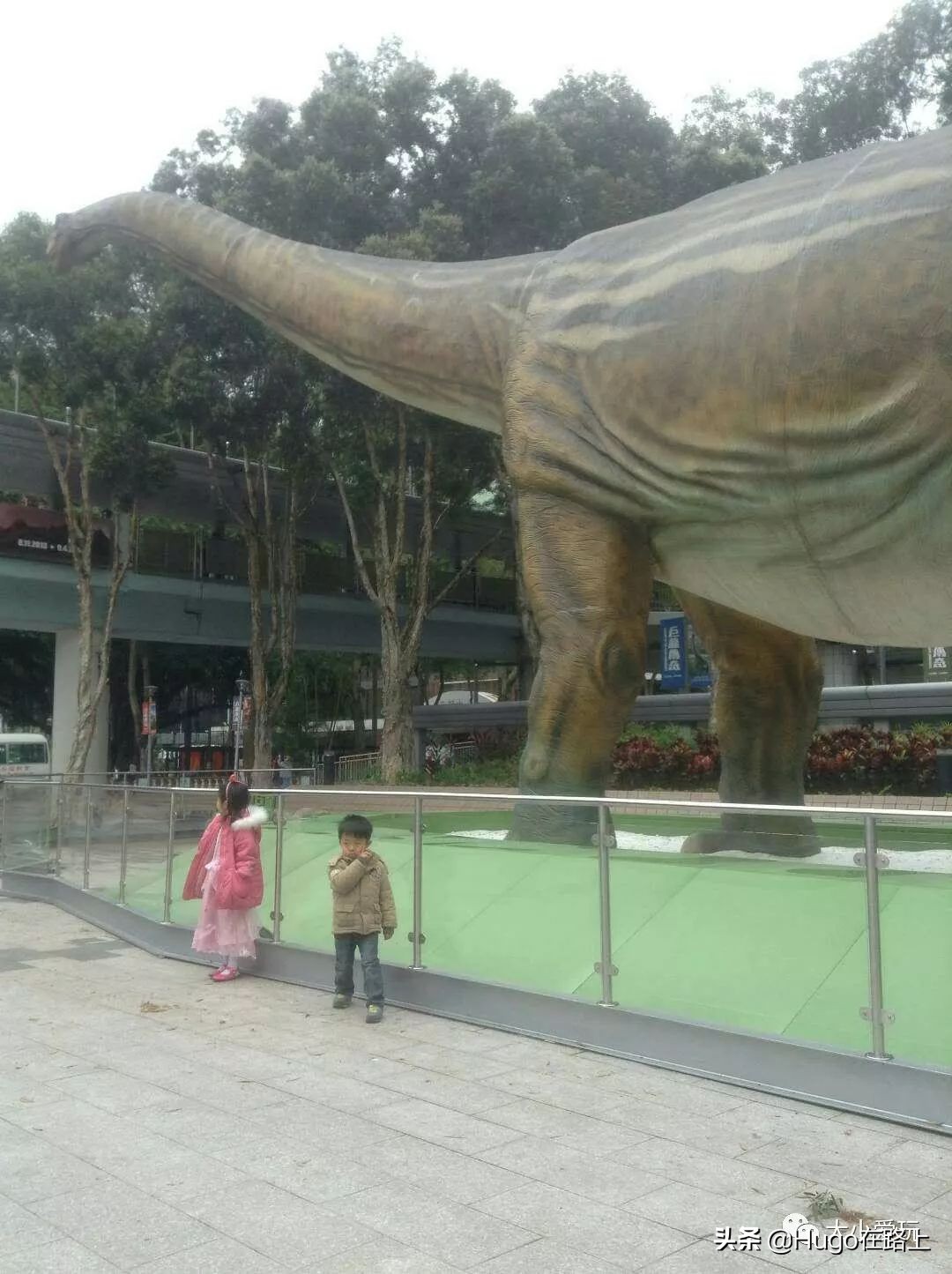 香港亲子游图文攻略图片大全,去香港亲子旅行攻略路线图片