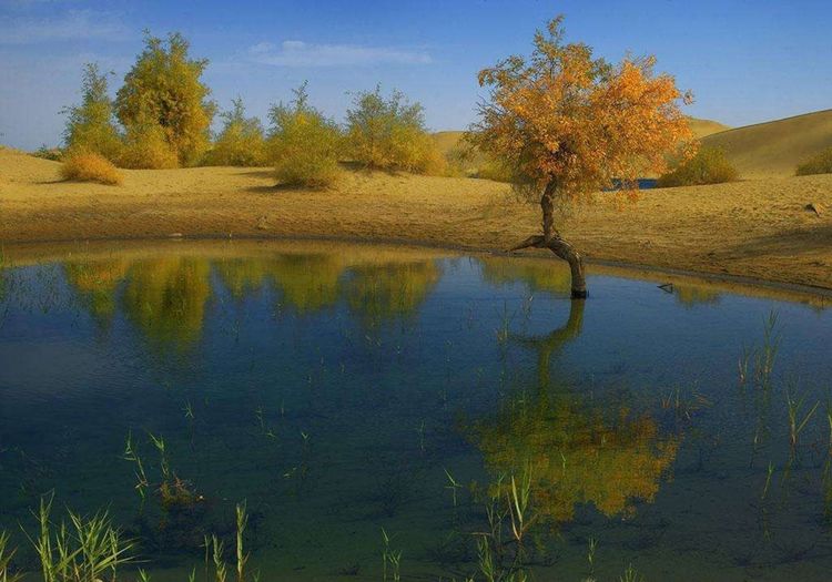 教改20年，三线以下城乡素质教育的问题和希望（原创