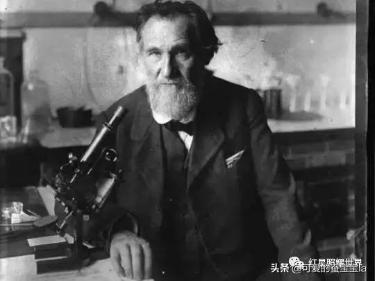 酸奶、钻石其实都是一场百年*局骗**，诺奖得主的惊世谎言造就万亿