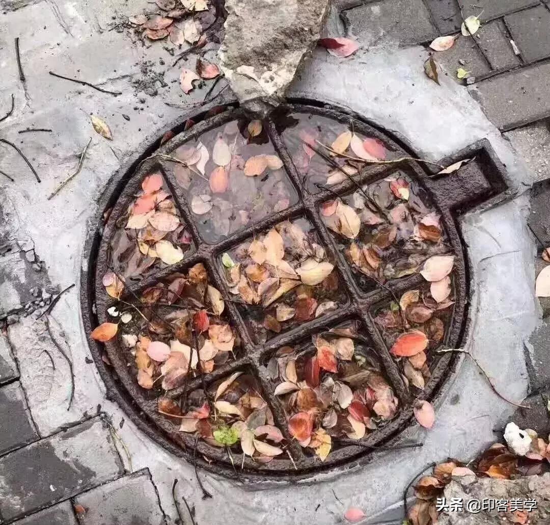 樱花富士山樱桃小丸子,日本富士山樱桃小丸子