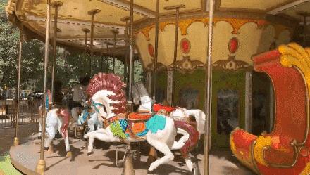 最美的西安兴庆公园,西安兴庆公园一道美丽的风景线