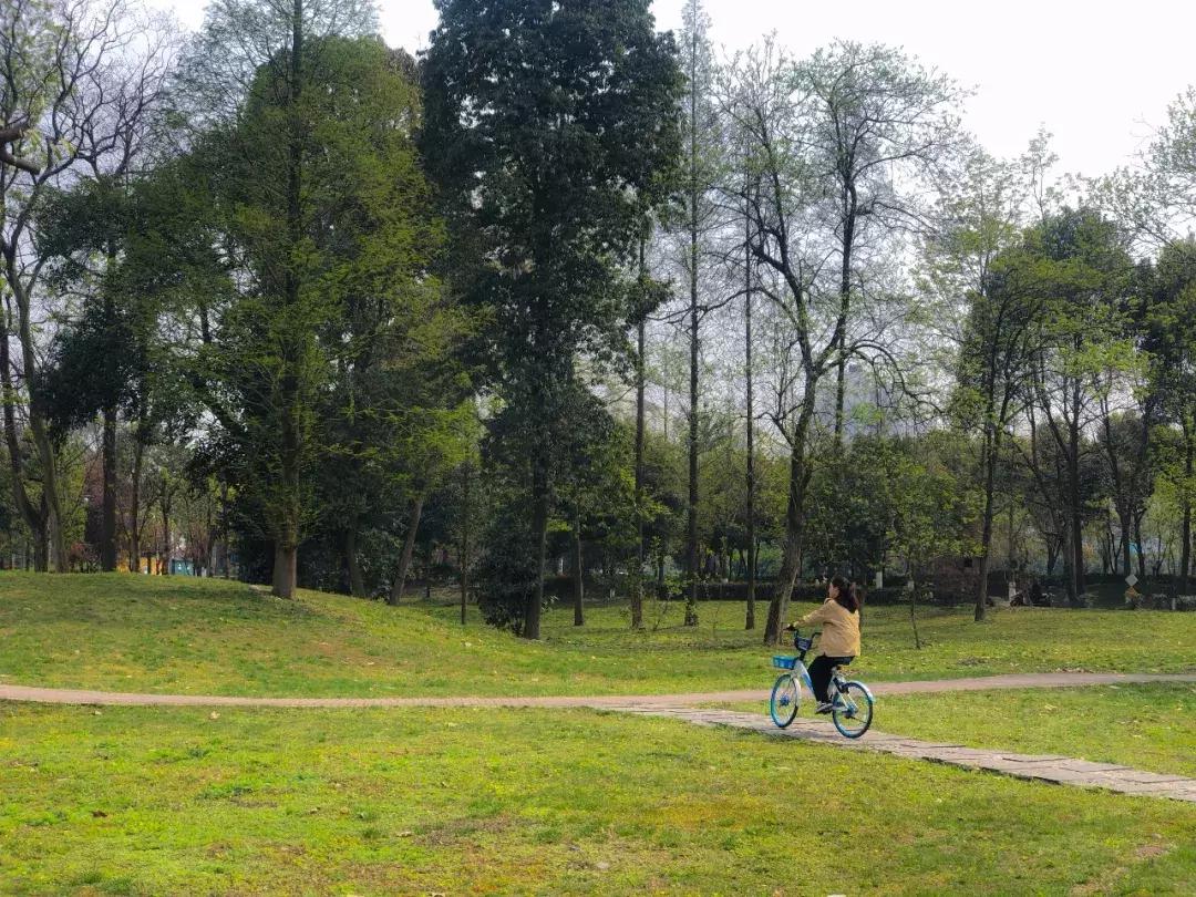 都江堰天府绿道骑行路线图,都江堰周边最美骑行路线