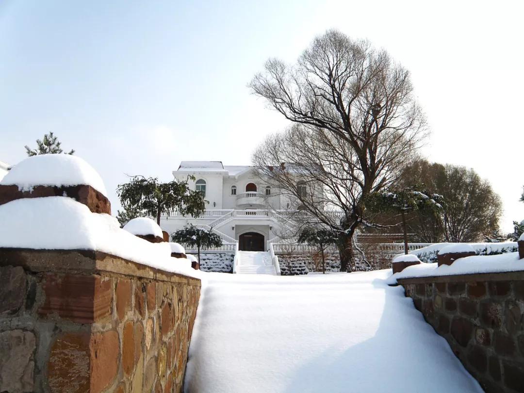 怡园酒庄哪款好,怡园酒庄2011