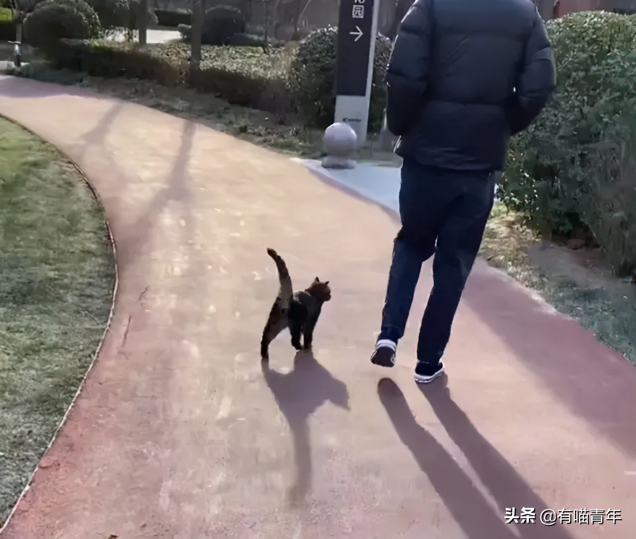 24岁男子喜当爹去派出所,90后男子相亲被误当爹