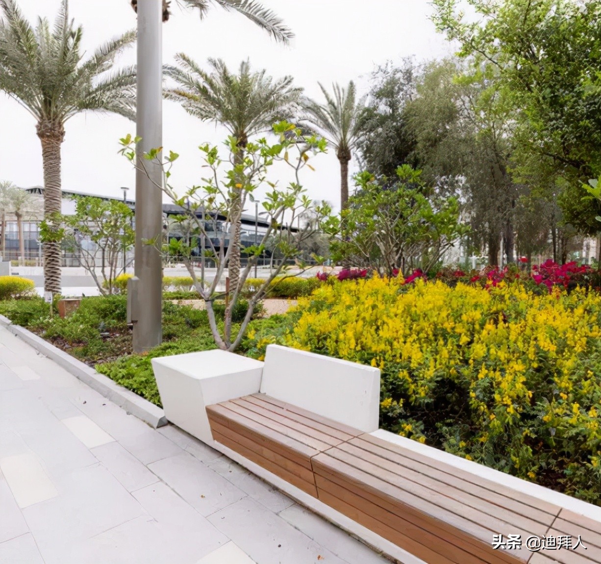 迪拜旅游攻略必玩景点推荐一下,迪拜旅游百科知识大全最新