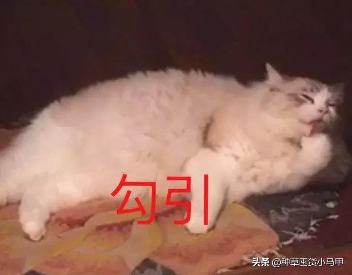 打假网红产品是真的吗,打假抖音网红产品有谁