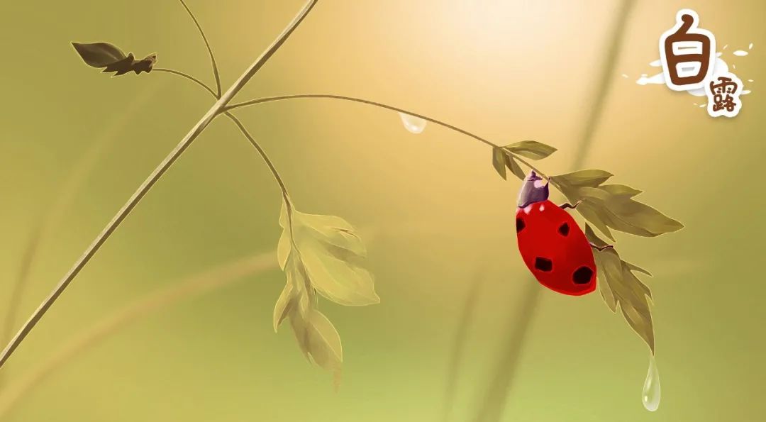 白露节气最好的诗句,关于白露的诗词有哪些