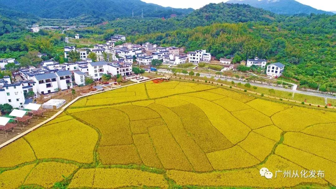 从化老城区,广州从化后花园