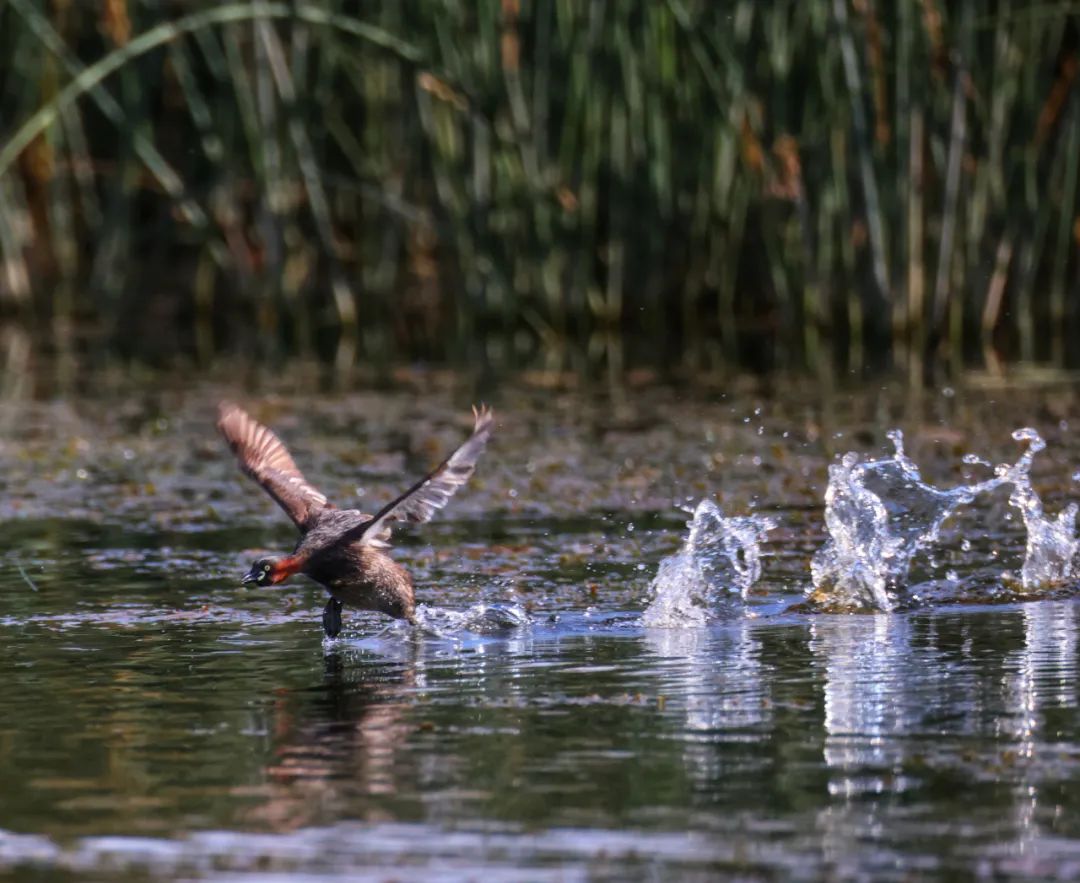 七月的晚霞好美,夏天六月的晚霞