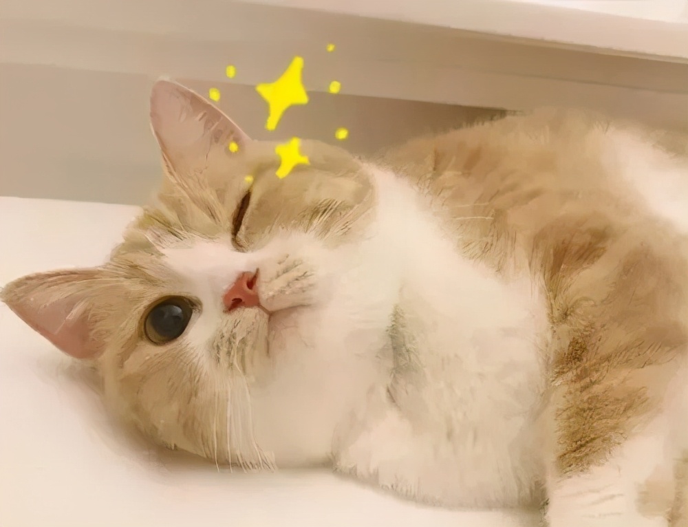 @打工人：不想“富贵包”变成“夺命包”，5招帮你消！