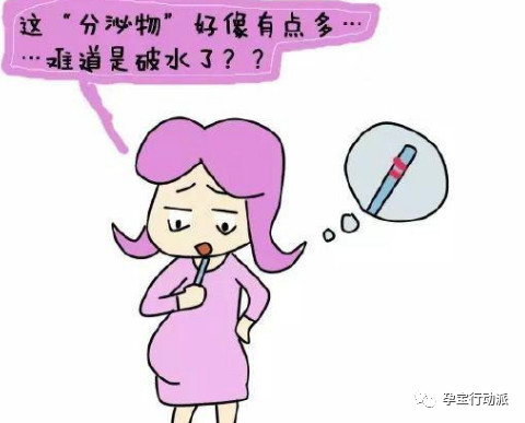 孕期周刊第14周,孕期记录30周