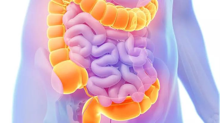 结肠癌有彻底治好的吗,早期结肠癌的4个求救信号