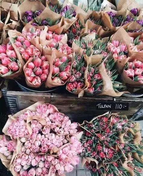 买花的套路和策略,买花的三个陷阱