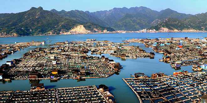 苍南迎来大发展,苍南县现在还有发展前景吗