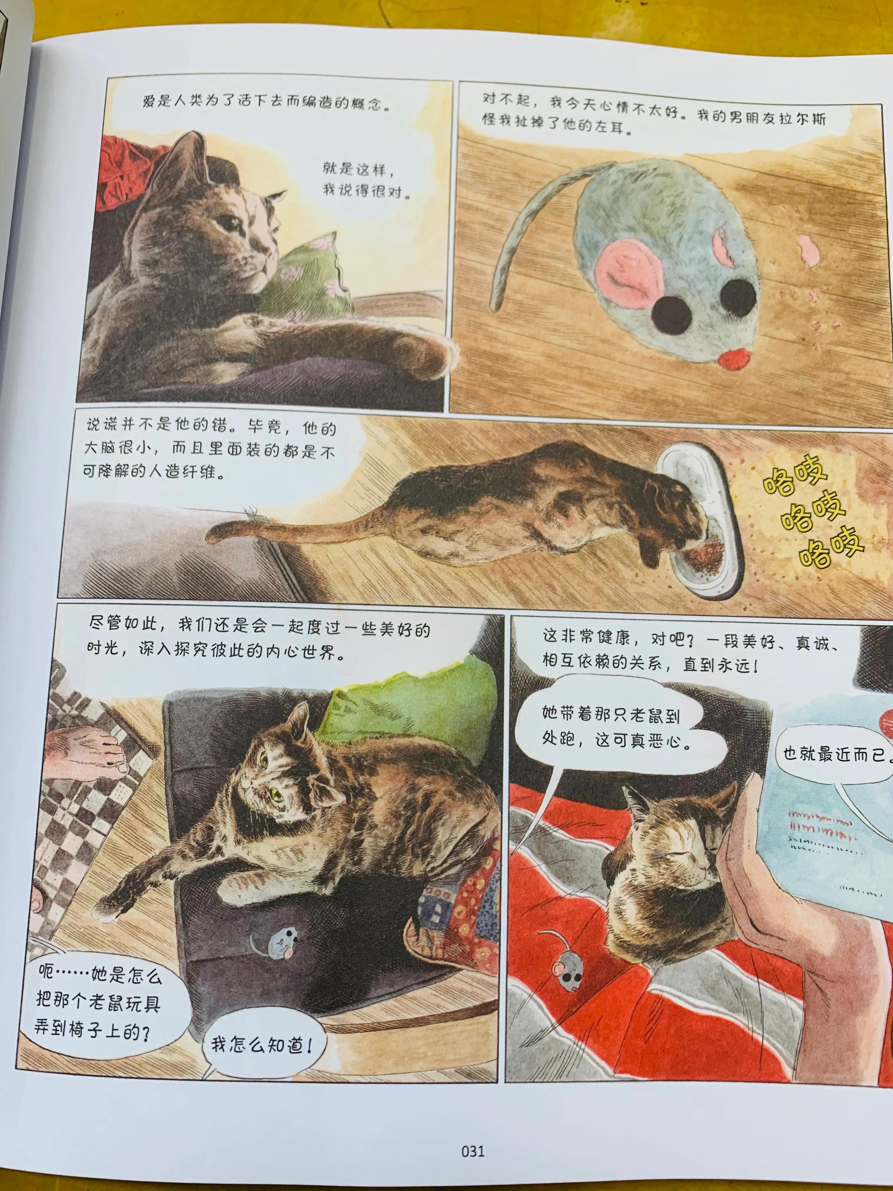 猫咪搞笑日常漫画,一个关于猫的搞笑漫画