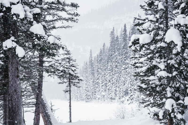 加拿大魁北克冰雪节,加拿大艾伯塔省节
