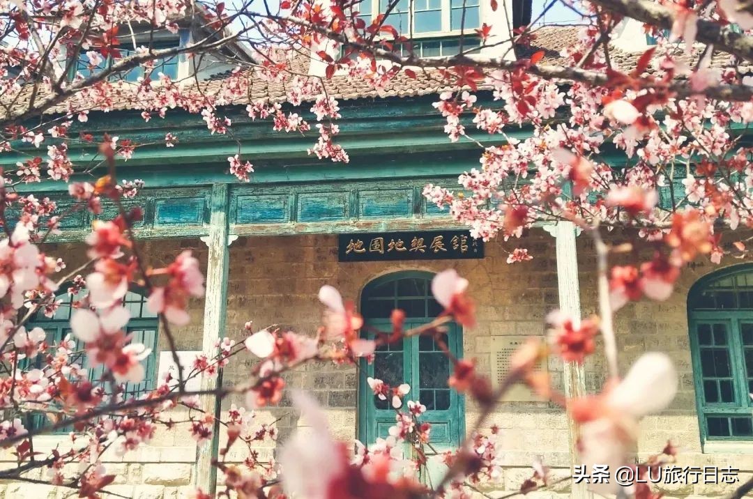 2023山东高考大学推荐,高考学子看过来