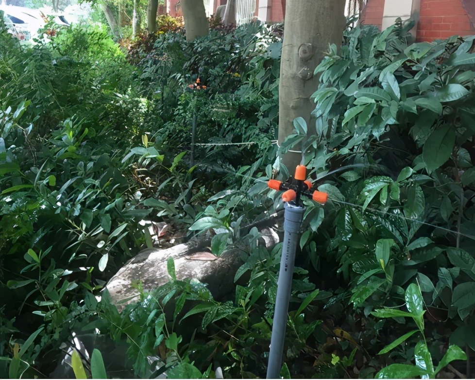 水利局用水管理机制,节水经验视频