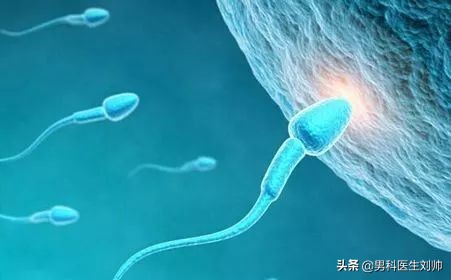 男性健康科普检测,男科检查科普视频