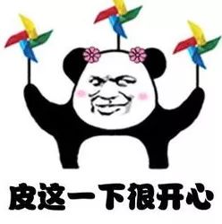 2019拿到驾驶证,2019拿到了驾照