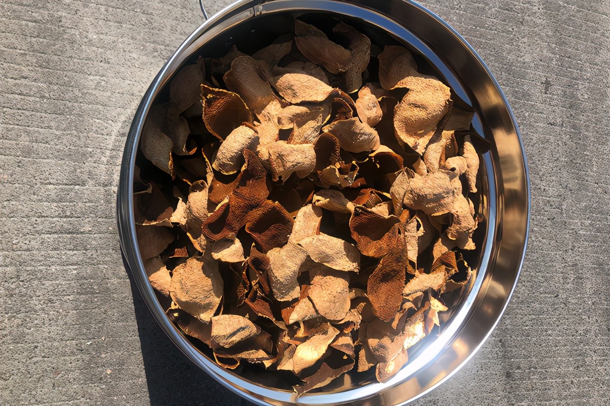 新会陈皮避光,回南天陈皮怎么保养