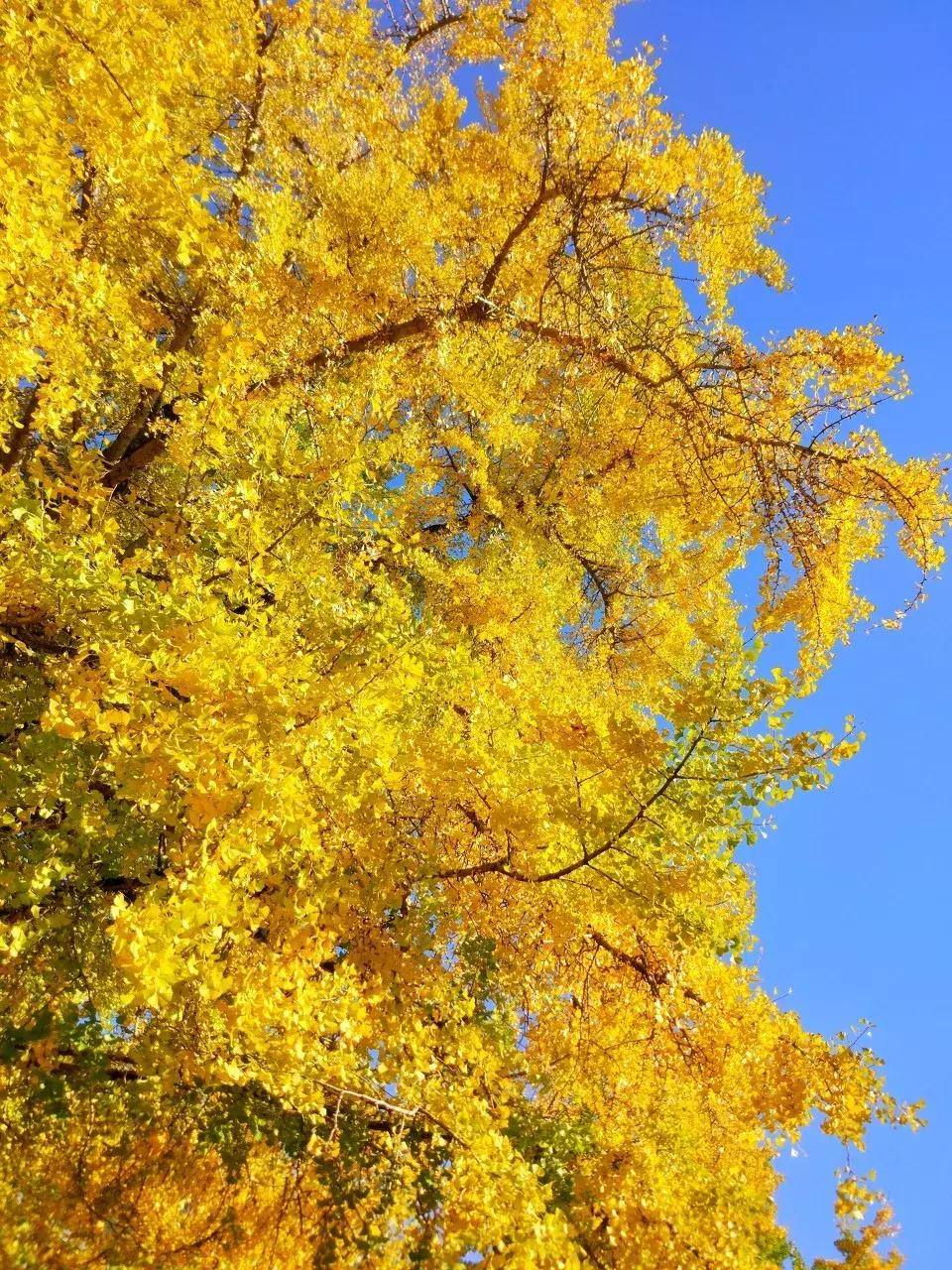 2019必去的旅行地,8月最新旅行地推荐