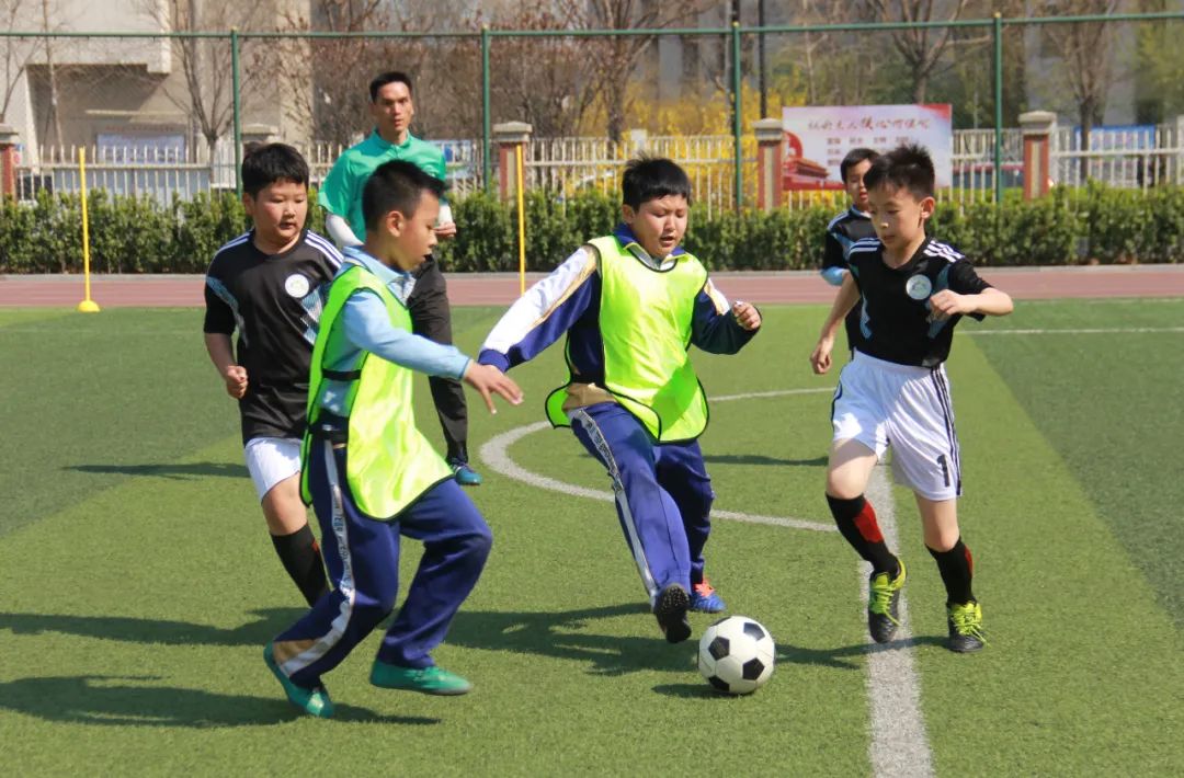 泰达实验学校足球队怎么样,泰达实验学校初中